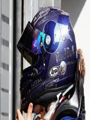 cover image of The Blue Helmet